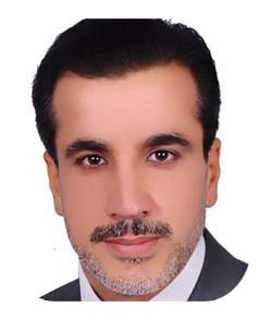 Prof. Dr. Haydar H. Jamal Al-Deen